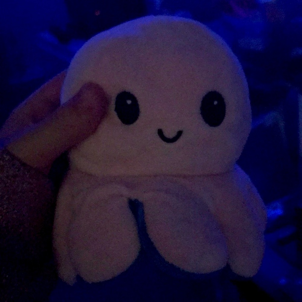Octopus sad face and happy face toy